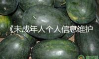 《未成年人個人信息維護建議》發(fā)布