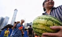 “一體雙融六協(xié)同”構建縱深心育形式