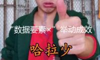“數據要素×”舉動成效閃現