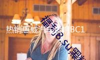 熱銷惠威汽車音響B(tài)C10.0-V無(wú)源低音炮喇叭不帶功放車載改裝