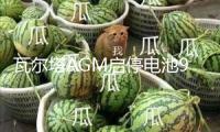 瓦爾塔AGM啟停電池92AH配奔馳S級寶馬5系7系X6路虎保時捷汽車電瓶