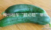 神州租車“臟必賠”舉動(dòng)收官