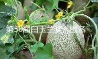第30屆白玉蘭獎(jiǎng)入圍名單揭露 劉亦菲獲最佳女主角提名