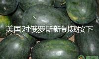 美國對俄羅斯新制裁按下暫停鍵！澤連斯基喊話普京：愿會晤！烏錄用新陸軍司令