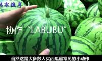 協(xié)作“LABUBU”，優(yōu)衣庫(kù)為何熱心聯(lián)名