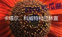 卡塔爾、科威特和巴林宣告從頭敞開領(lǐng)空