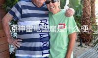 原神雷電國(guó)崩是什么梗