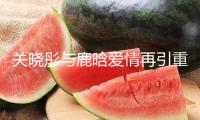 關曉彤與鹿晗愛情再引重視！這一張圖疑似駁斥謠言了分手風聞
