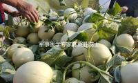 軍事醫學專家陳冀勝院士去世