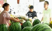 在抗癌戰(zhàn)場投下“智能制導(dǎo)武器”