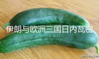 伊朗與歐洲三國日內(nèi)瓦密談3小時：以方停火是交際處理條件