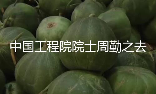 【八卦網吃瓜網】