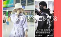 怎么選擇、貯存荔枝？這份攻略收好