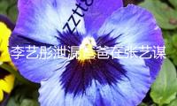 李藝彤泄漏爸爸在張藝謀新劇當群演