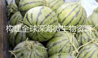 構(gòu)建全球深海微生物資源庫，聯(lián)合國這項(xiàng)大科學(xué)方案全球總部設(shè)在上海