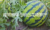 曝周鶴年與明日花綺羅產(chǎn)生一夜情！涉嫌性交易行為