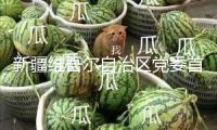 新疆維吾爾自治區(qū)黨委首要負(fù)責(zé)同志職務(wù)調(diào)整，陳小江任新疆維吾爾自治區(qū)黨委書記