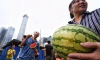 植物分類學家王文采院士去世