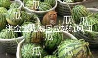 洪金寶兒媳回應(yīng)越軌風(fēng)聞 稱仍是很愛自己的老公