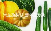 汽車改裝貼 愛心翼發(fā)動機(jī)蓋貼花 裝飾引擎蓋拉花貼紙個(gè)性車頭車貼