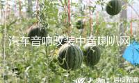 汽車音響改裝中音喇叭網罩3.5寸6.5寸鋁合金低音網罩裝飾保護罩