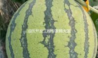 油田開發(fā)工程專家韓大匡院士去世