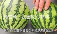 孫譽(yù)綺：我國助力非洲，應(yīng)對(duì)西方“教育斷糧”