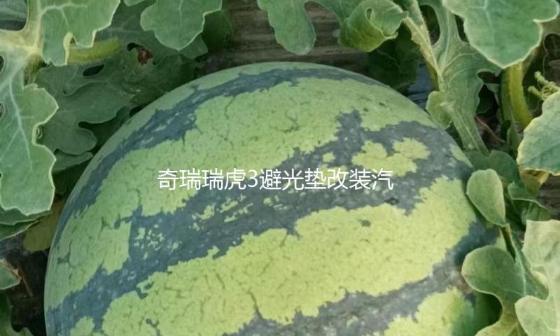 【吃瓜視頻最全觀看】