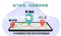 奇瑞瑞虎3避光墊改裝汽車專用防曬隔熱遮光墊裝飾中控儀表臺配件