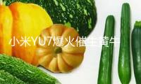 小米YU7爆火催生黃牛：最高溢價2萬元！“最長要等57周”！雷軍：不會自鳴得意 會持續謹言慎行