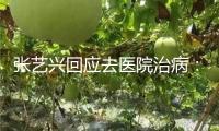 張藝興回應(yīng)去醫(yī)院治病：便是看了下身體一切都挺好