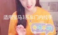 適用寶馬3系車門內(nèi)拉手F35 F30 316 320 328門把手內(nèi)側(cè)4系內(nèi)扶手