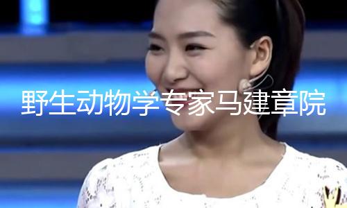 【劉倩怡】