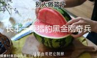 長豐三菱獵豹黑金剛奇兵飛騰6481內(nèi)飾改裝飾汽車配件儀表臺避光墊