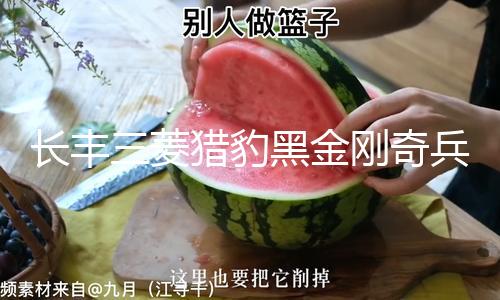 【今日看料每日一抓第五期】