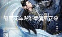 雛菊花車貼唯美清新花朵劃痕遮擋貼車窗車尾貼創意網紅汽車貼紙女