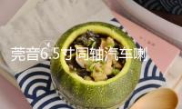莞音6.5寸同軸汽車?yán)劝l(fā)燒hifi中低音車載汽車音響改裝套裝喇叭