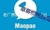 老廠房改形成熱潮，“出圈”的為何不多？