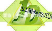 調(diào)查｜中興通訊終端全“AI”化，千元、百元機(jī)AI手機(jī)遠(yuǎn)景怎么？