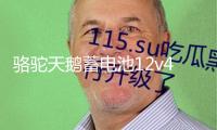 駱駝天鵝蓄電池12v45ah適配原裝五菱宏光金剛長(zhǎng)安面包車汽車電瓶