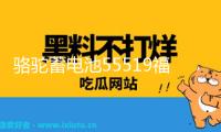 駱駝蓄電池55519福特福克斯嘉年華馬自達(dá)3/2賽歐汽車電瓶12V55ah