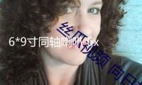 6*9寸同軸喇叭 6x9汽車音響 車載喇叭 汽車喇叭全頻重低音橢圓形