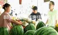 88歲香港導(dǎo)演唐佳墜樓身亡！現(xiàn)場(chǎng)慘烈身首異處，初判因妻病重自殺