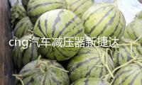 cng汽車減壓器新捷達新桑塔納出租車替代原車減壓閥天然氣配件